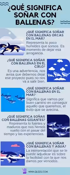 que-significa-sonar-con-ballenas-orcas-en-el-mar