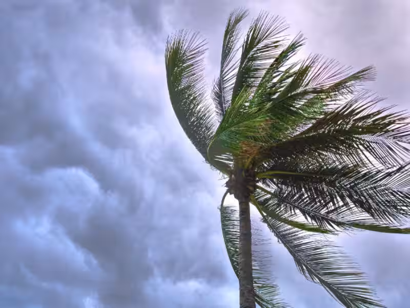 que-significa-sonar-con-tormenta-de-viento-y-lluvia